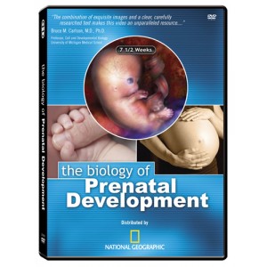 The Biology of Prenatal Development